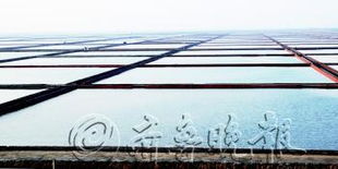 匯泰集團(tuán) 以海水養(yǎng)殖技術(shù)研發(fā)引領(lǐng)環(huán)境友好型企業(yè)建設(shè)