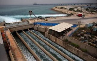 從“陸稻”到“海稻” 中國科學(xué)家以創(chuàng)新養(yǎng)殖技術(shù)布局全球海洋