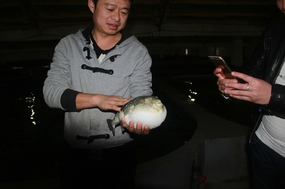 大連啟航“海魚陸養”保險，海水養殖技術研發迎來新機遇