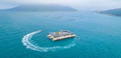 海洋牧場 以綠色養殖與技術研發驅動海水養殖的未來